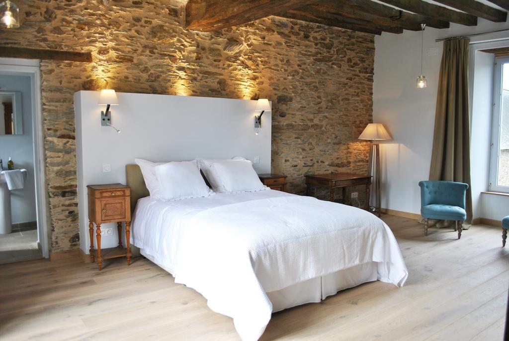Le Manoir De La Vieille Douve Bed & Breakfast Bourg-d'Ire Phòng bức ảnh