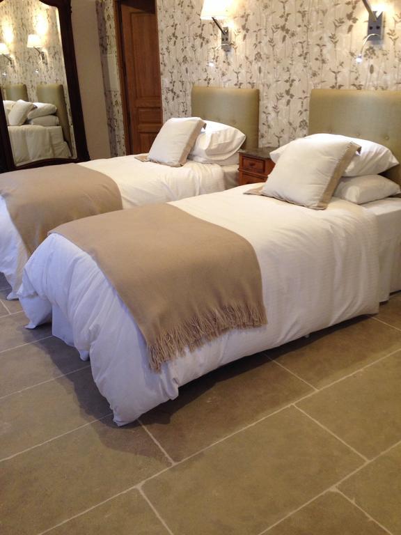 Le Manoir De La Vieille Douve Bed & Breakfast Bourg-d'Ire Phòng bức ảnh